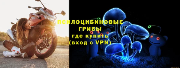 mdpv Гусиноозёрск