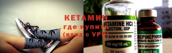 крисы Дмитров