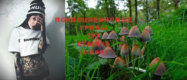 твердый Гусь-Хрустальный