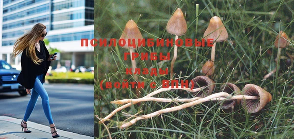 а пвп мука Гусев